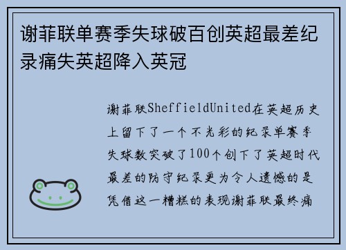 谢菲联单赛季失球破百创英超最差纪录痛失英超降入英冠