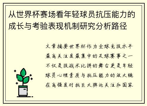 从世界杯赛场看年轻球员抗压能力的成长与考验表现机制研究分析路径